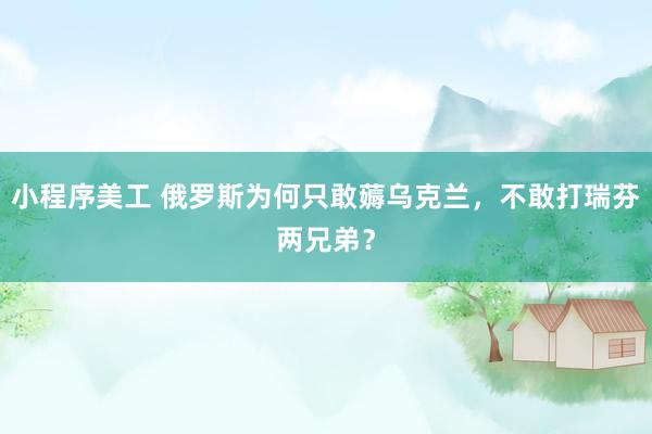 小程序美工 俄罗斯为何只敢薅乌克兰，不敢打瑞芬两兄弟？