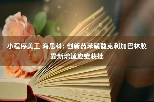 小程序美工 海思科: 创新药苯磺酸克利加巴林胶囊新增适应症获批