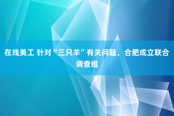 在线美工 针对“三只羊”有关问题，合肥成立联合调查组